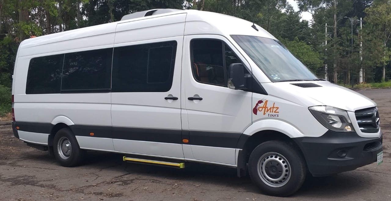 Sprinter